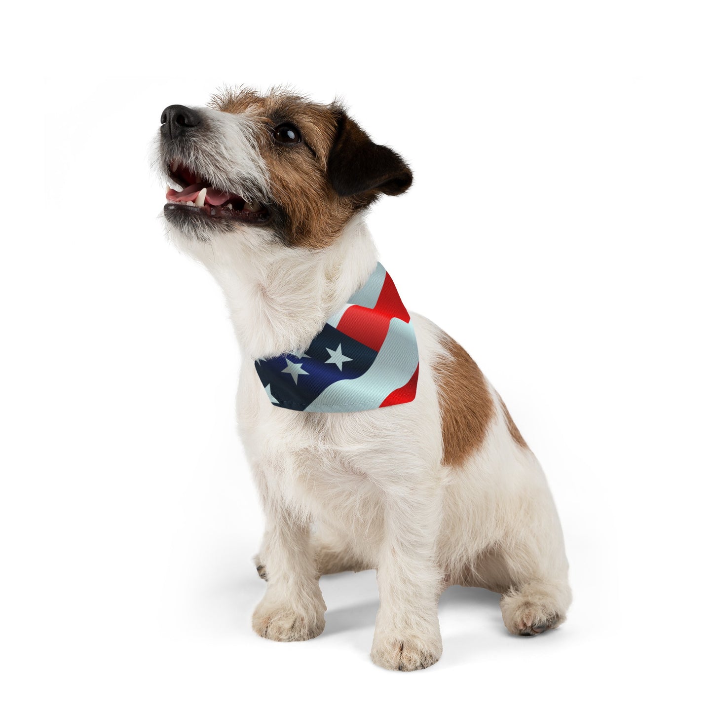 Pet Bandana Collar