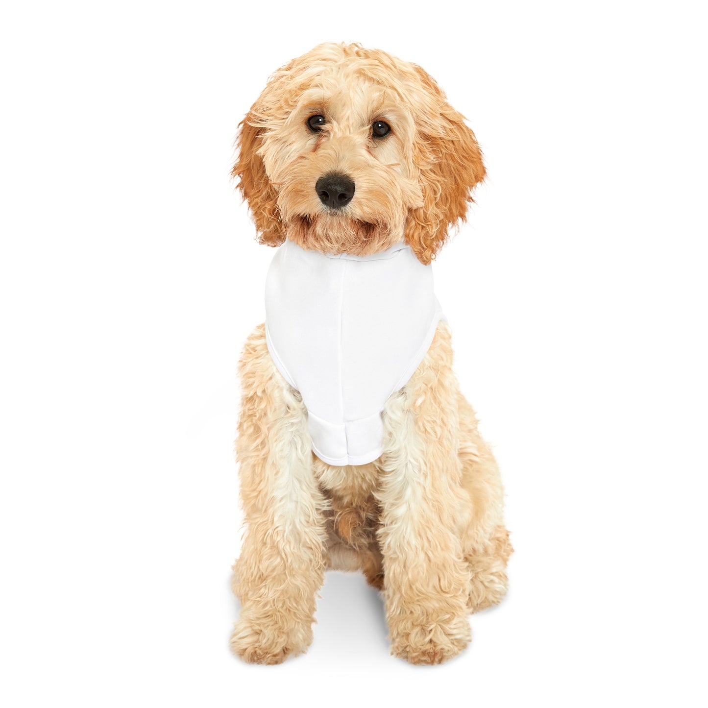 US LOVE Pet Hoodie