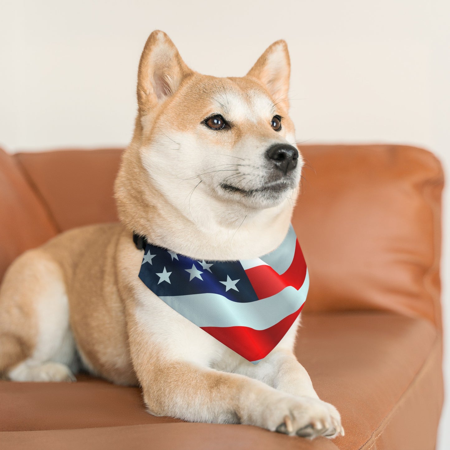 Pet Bandana Collar