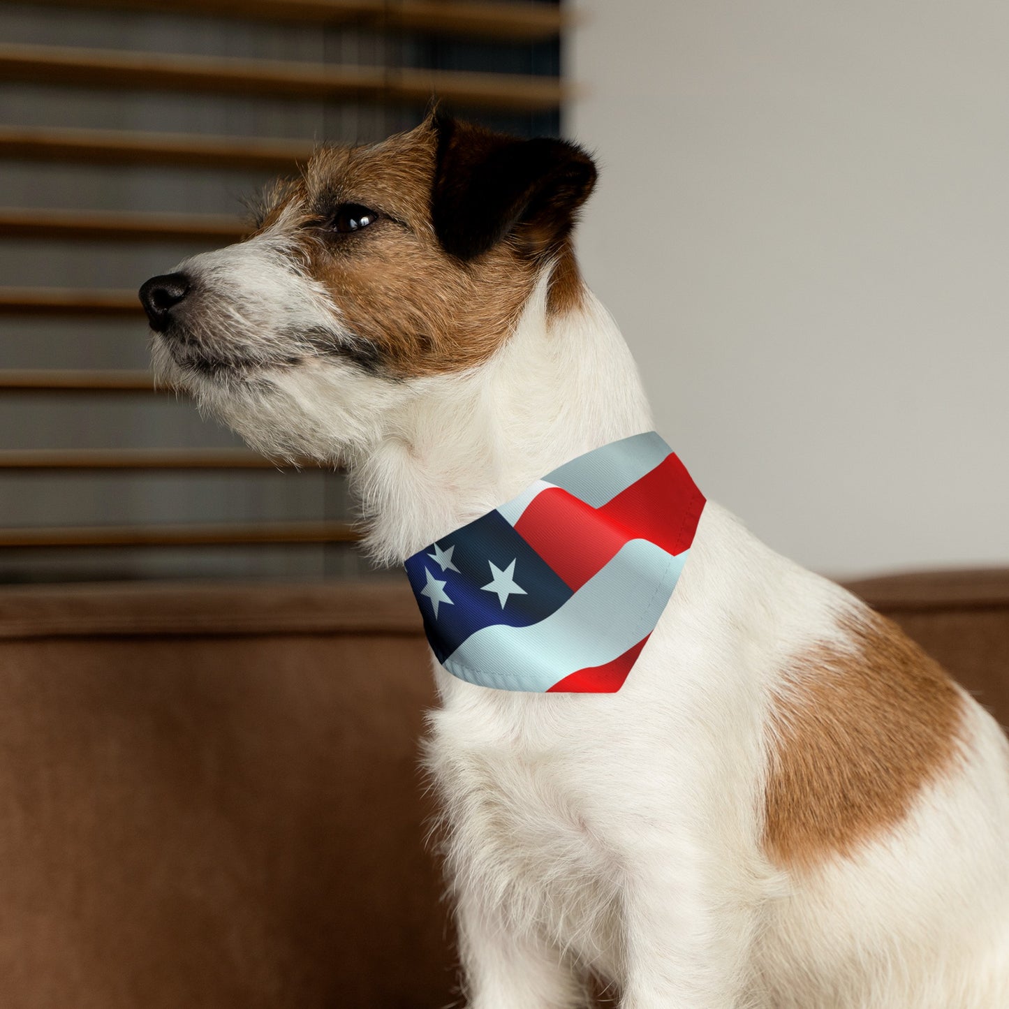 Pet Bandana Collar