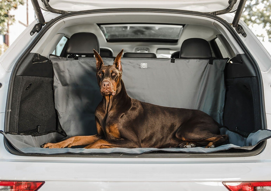 Pet Cargo Cover