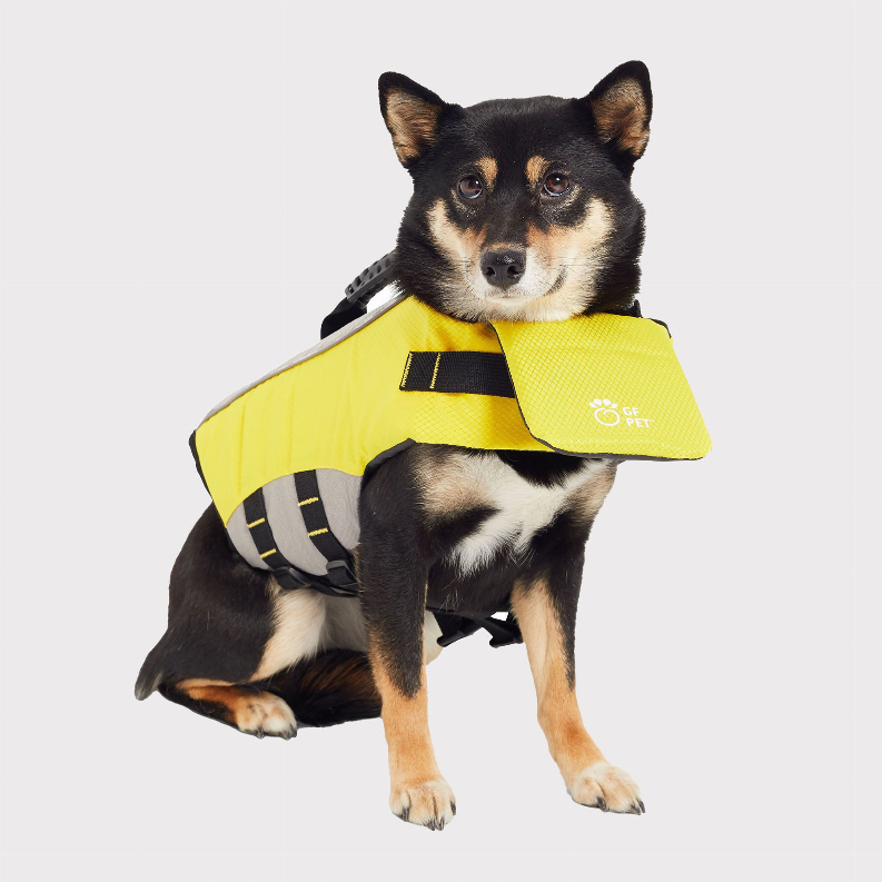 Pet Life Vest