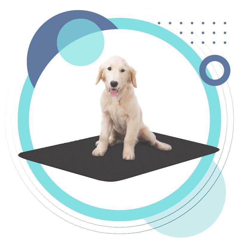 Pet Earthing Mat