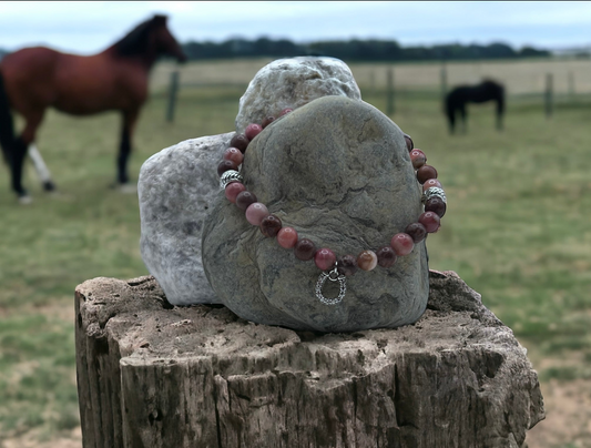 Positive Connections - aka Horse Whisperer